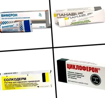 папилома