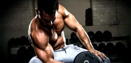 musculaturii construirea