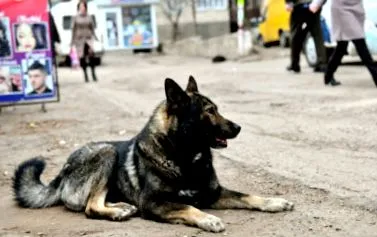 évvel ezelőtt
