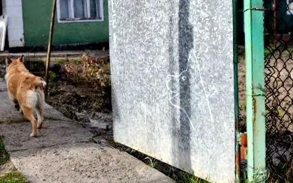 mérföldek
