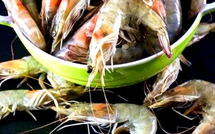 fehérbor