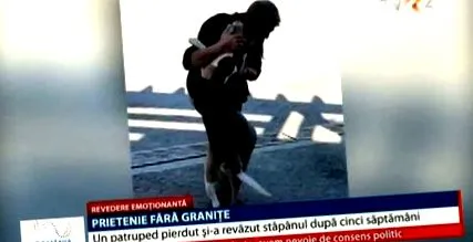 érzelmi elveszett