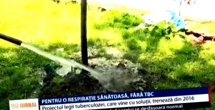 здраво здраво