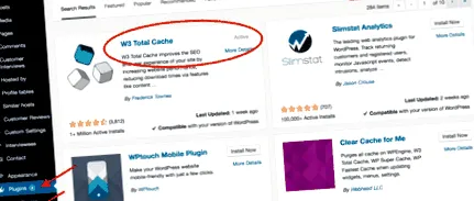 wordpress