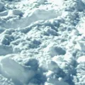 skivirus