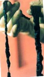 krok