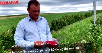 голема побарувачка