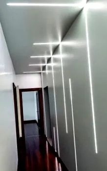 институт