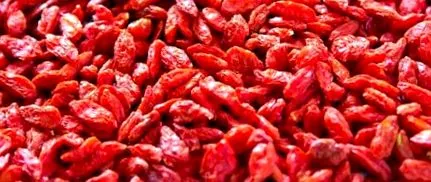 goji gyümölcsökről