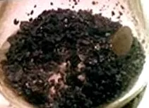алги
