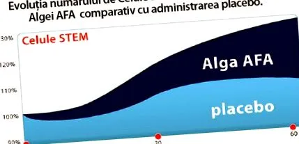 alga