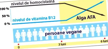 őssejtek