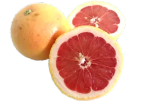 potravín