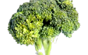 ktoré