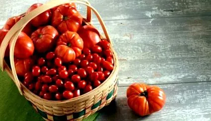 летни