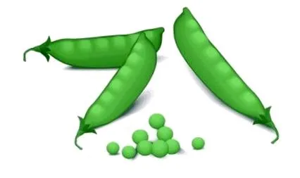 koleszterint