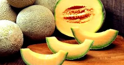 летни