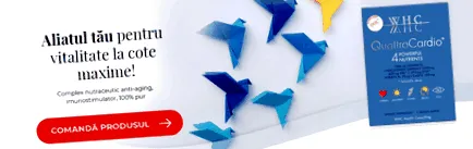 ételek