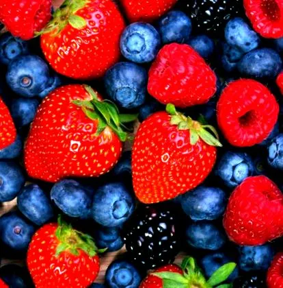 antioxidánsok Ebben értelemben