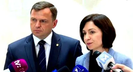 elemzők