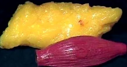 chiromedica