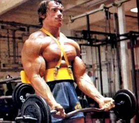 arnold bicepsz