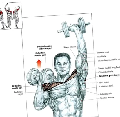 táplálkozás fitnesz