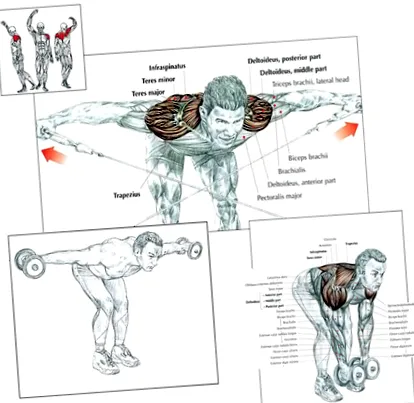 edzés fitnesz
