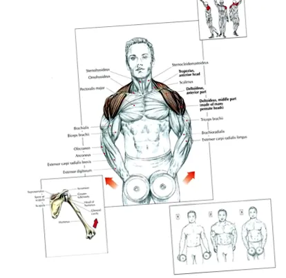 fitnesz váll