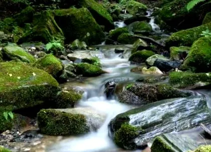 blog