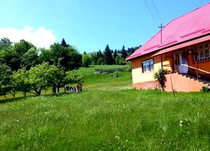 kültéri