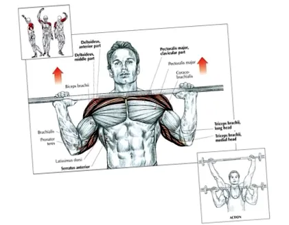 edzés fitnesz