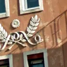 форум снимки