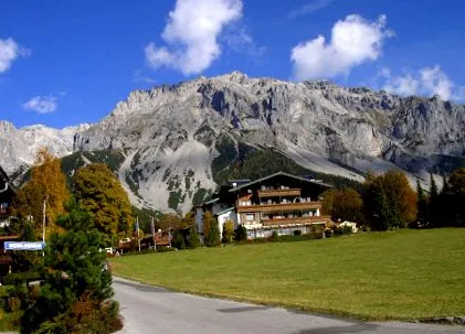 stručný