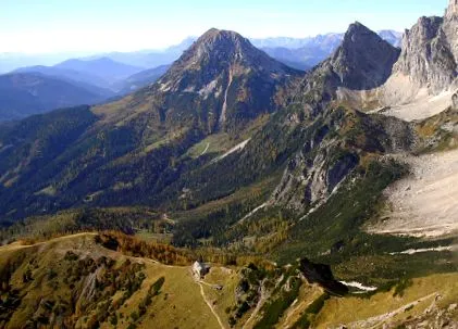 niektorých