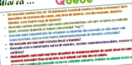 avokádo