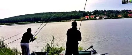 двоцифрен