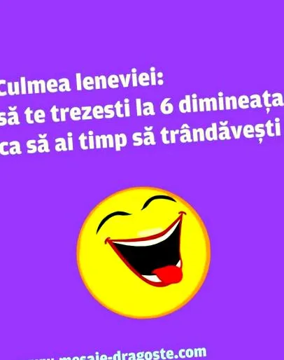 tipp