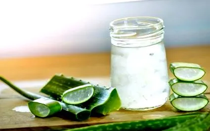 aloe