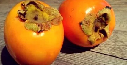 persimmon