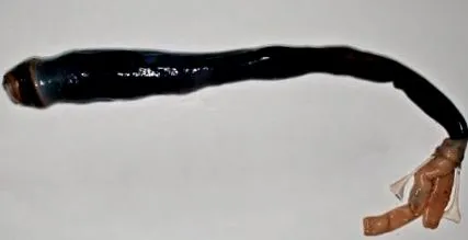 како црви