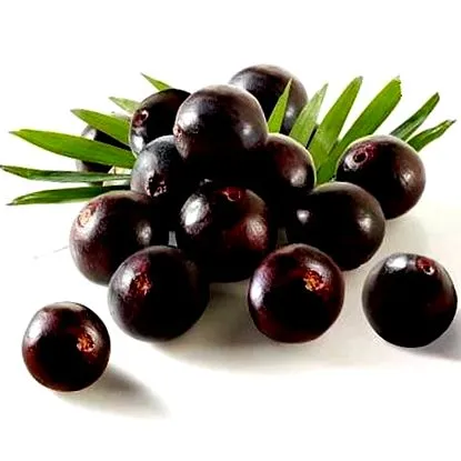 Acai gazdag
