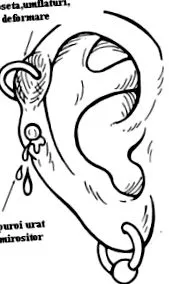 testpiercing