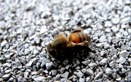 značky