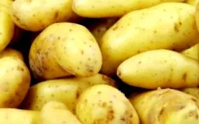 високо картофи