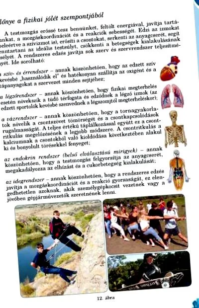 reacția petarde