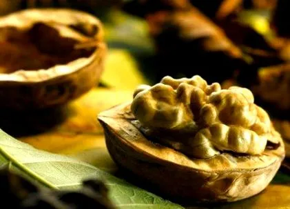 мастни киселини ядки