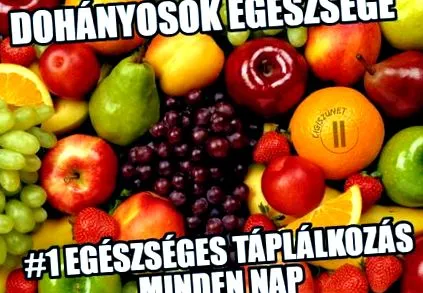 звикати привчайте