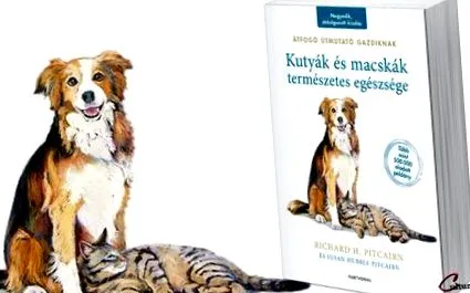 котів здоров