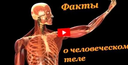 limbă vkontakte